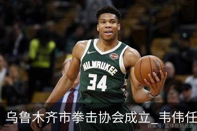 乌鲁木齐市拳击协会成立 韦伟任会长